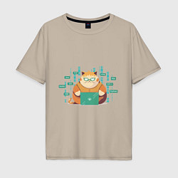 Мужская футболка оверсайз Толстенький кот программист