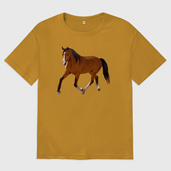 Мужская футболка оверсайз Голландская теплокровная