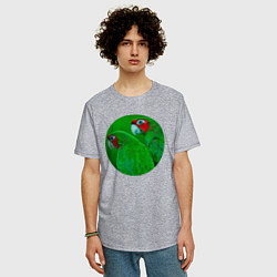 Футболка оверсайз мужская Два зелёных попугая, цвет: меланж — фото 2