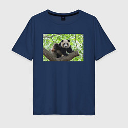 Мужская футболка оверсайз Медведь панда на дереве