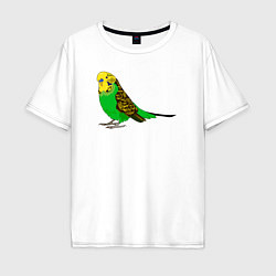 Мужская футболка оверсайз Красивый попугайчик