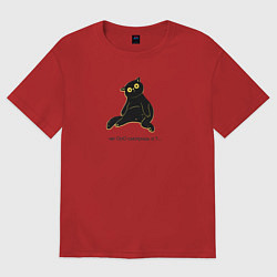 Мужская футболка оверсайз Чёрный котик с вопросительным взглядом чего смотри