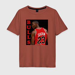 Футболка оверсайз мужская Bulls Jordan, цвет: кирпичный