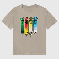 Мужская футболка оверсайз Аватар стихии