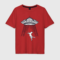 Футболка оверсайз мужская Кошка и летающая тарелка, цвет: красный