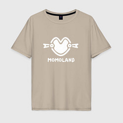 Мужская футболка оверсайз Момаленд лого