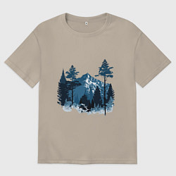 Мужская футболка оверсайз Графика горный пейзаж