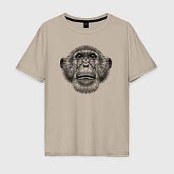 Мужская футболка оверсайз Шимпанзе смотрит вверх