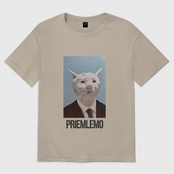 Футболка оверсайз мужская Приемлемо - кот мем в живописи, цвет: миндальный