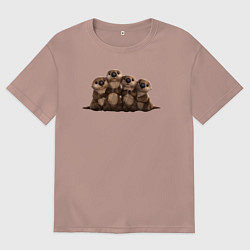 Мужская футболка оверсайз Мультяшные бобры