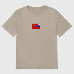 Мужская футболка оверсайз Россия символ минимализм