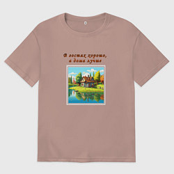 Мужская футболка оверсайз В гостях хорошо, а дома лучше