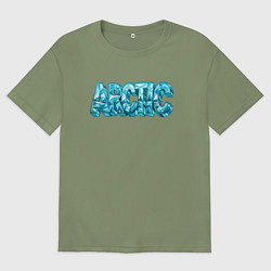 Мужская футболка оверсайз Холодная Арктика
