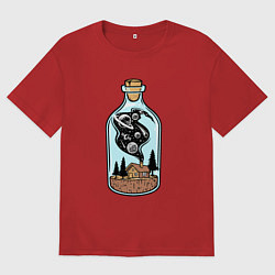 Мужская футболка оверсайз Космический дом в бутылке