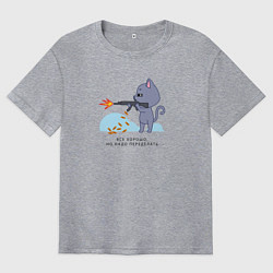 Мужская футболка оверсайз Кот все хорошо