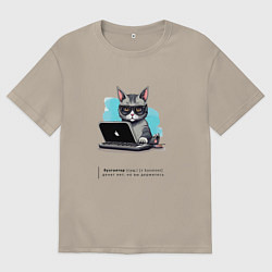 Мужская футболка оверсайз Кот бухгалтер с описанием