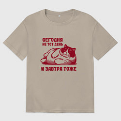 Мужская футболка оверсайз Недовольный толстый котик сегодня не тот день