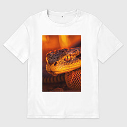 Мужская футболка оверсайз Огненная змея