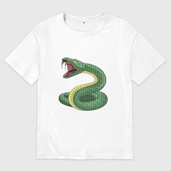 Футболка оверсайз мужская Зеленая змея - символ 2025, цвет: белый