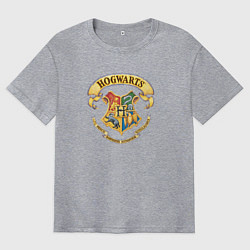 Мужская футболка оверсайз Хогвартс - факультеты
