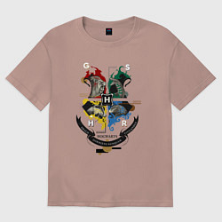 Футболка оверсайз мужская Hogwarts School of Witchcraft and Wizardry, цвет: пыльно-розовый