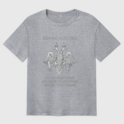 Футболка оверсайз мужская Министерство по исправлению косяков, цвет: меланж