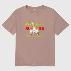 Мужская футболка оверсайз Мы в полной жопе