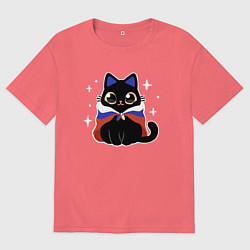 Мужская футболка оверсайз Кот с флагом