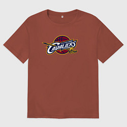 Мужская футболка оверсайз Cleveland Cavaliers