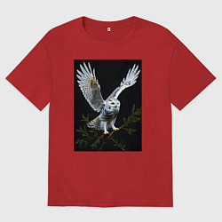 Мужская футболка оверсайз Белая сова на дереве