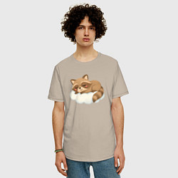 Футболка оверсайз мужская Милый енот на облачке, цвет: миндальный — фото 2