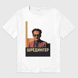 Футболка оверсайз мужская Поп-арт Эрвин Шредингер, цвет: белый