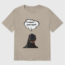 Мужская футболка оверсайз Не люблю сухой корм кот кошка