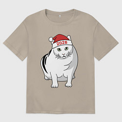 Мужская футболка оверсайз Мемный кот Бендер - 2026