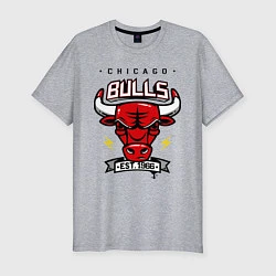 Футболка slim-fit Chicago Bulls est. 1966, цвет: меланж