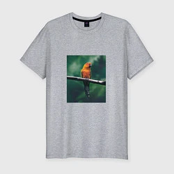 Мужская slim-футболка Попугай сидит на ветке
