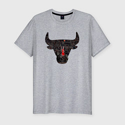 Мужская slim-футболка Bulls - Jordan