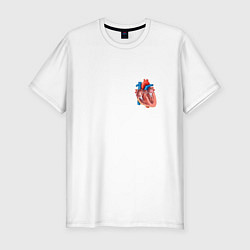 Мужская slim-футболка Анатомия Сердце