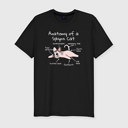 Мужская slim-футболка Анатомия кошки сфинкса