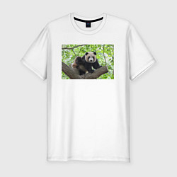 Мужская slim-футболка Медведь панда на дереве
