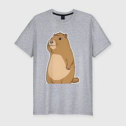 Мужская slim-футболка Прекрасная капибара