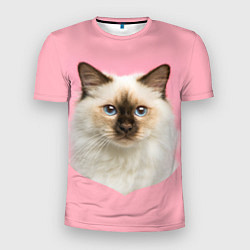 Мужская спорт-футболка Пушистый кот