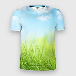 Мужская спорт-футболка Зелень и небо