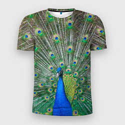 Мужская спорт-футболка Величественный павлин