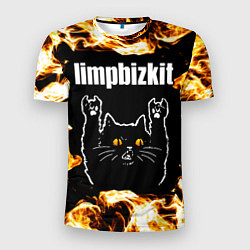 Футболка спортивная мужская Limp Bizkit рок кот и огонь, цвет: 3D-принт