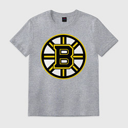 Футболка хлопковая мужская Boston Bruins, цвет: меланж