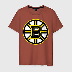 Футболка хлопковая мужская Boston Bruins, цвет: кирпичный