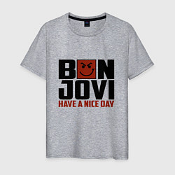 Футболка хлопковая мужская Bon Jovi: Nice day, цвет: меланж
