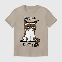 Мужская футболка Ясно, понятно (грустный кот)