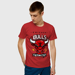 Футболка хлопковая мужская Chicago Bulls est. 1966 цвета красный — фото 2